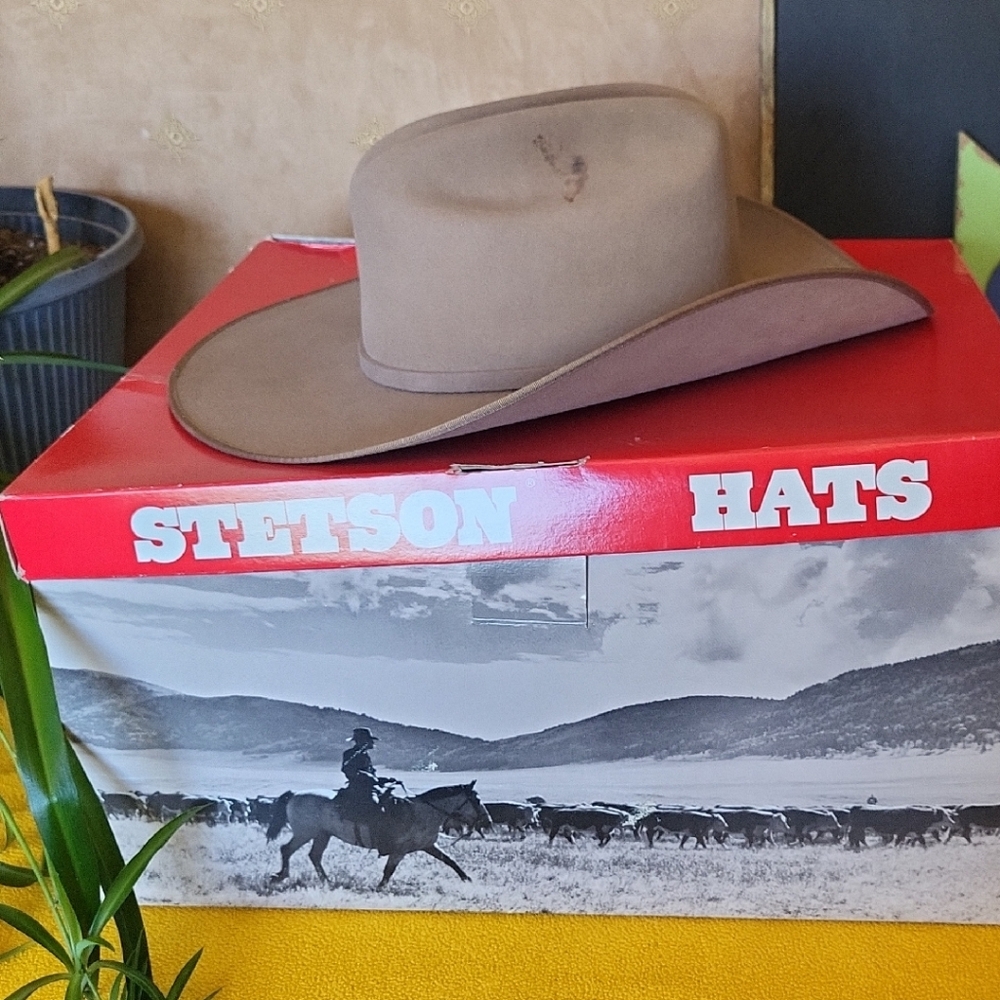 Stetson Beige Western Hat